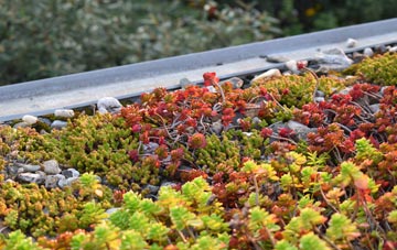 the cost of Clooney Park green roof installation