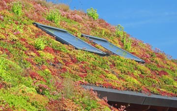 Clooney Park living roof systems