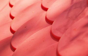 Clooney Park plastic roof costs