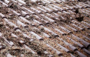 Clooney Park roof cleaning companies