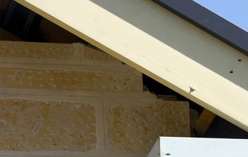 soffit repair Clooney Park
